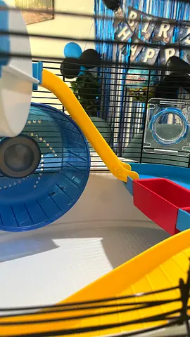 Professional 2 floors Hamster enclosure cage