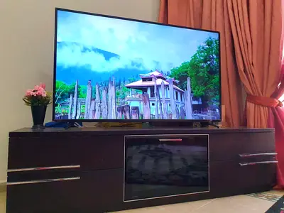 58 PHILIPS Smart TV high picture Quality wifi Google Netflix HDMI audio video Table mount