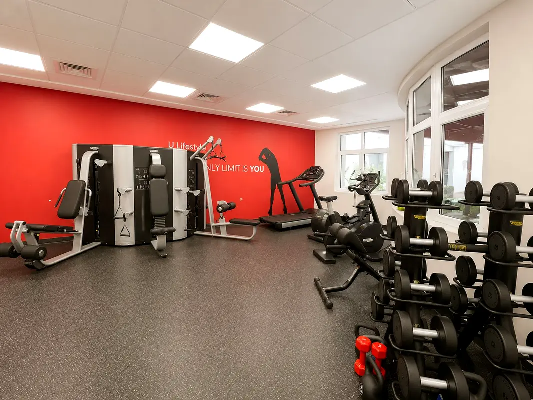gallery-image