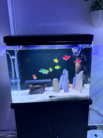 Aquarium Tank