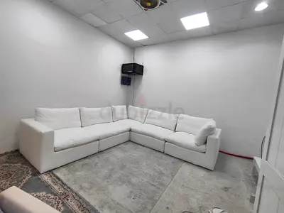 Expensive quality ws living brand sofa feather 🪶 filled modular sofa