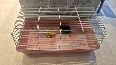 Cage