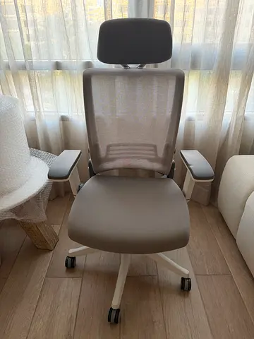 Ergonomic Mesh Office Chair with Headrest