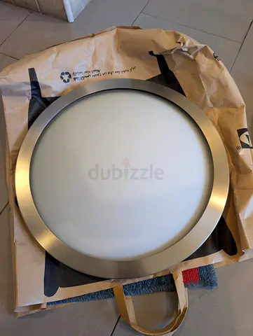 Modern Flush Mount Circular Ceiling Light