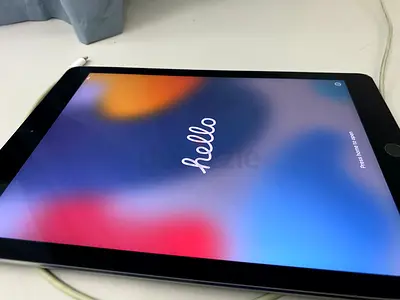 iPad Air 2 64 GB WiFi cellular model