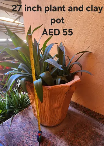 27-inch outoor plant with decorative clay pot