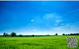 A prime residential plot is for sale in Al Manama 5, Ajman