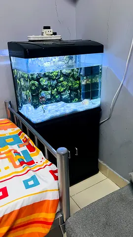 60 CM Fish aquarium complete set along with genuine black storage cabinet available