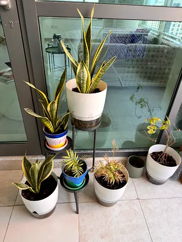 Plants, pots and ikea plant stand for sale
