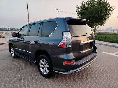2010 Lexus GX-SERIES — фото 16