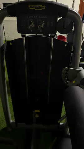 Technogym Lower Back Strength Machine - Good Condition