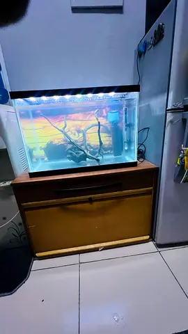 60 cm thick clear glass  Glass Aquarium with LED Lighting and Accessories with storage cabinet