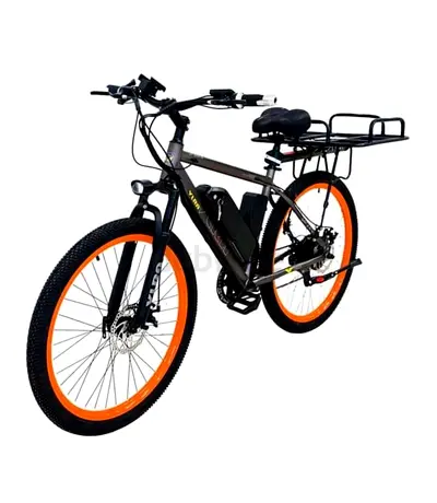 Electric Mountain Bike with Rear Cargo Rack