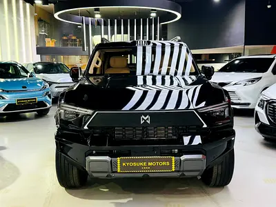 2025 Brand New DongFeng M-Hero 817