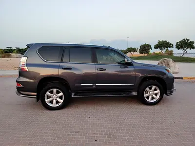 2010 Lexus GX-SERIES — фото 20