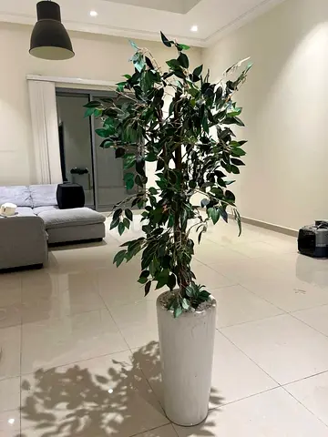 Urgent sale today!! Artificial Floor Plant in White Pot