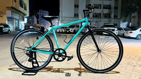 Japanese bike
