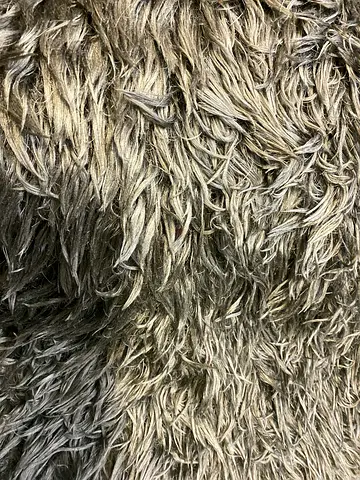 Carpet