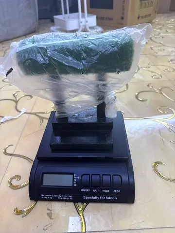 Scale falcon