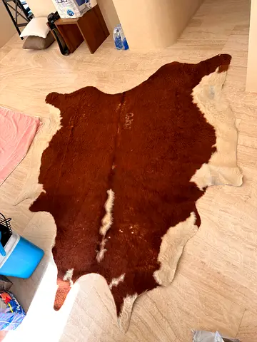 Cowhide Rug