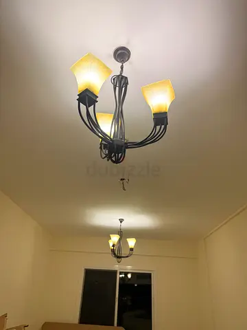 Set of 2 Decorative Ceiling Light Fixtures / Chandeliers - Metal with Frosted Shades