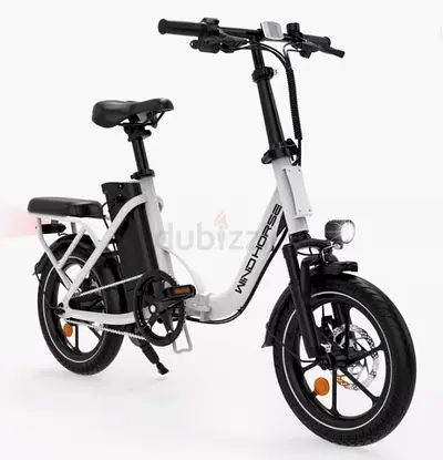 W2B Electric Bike