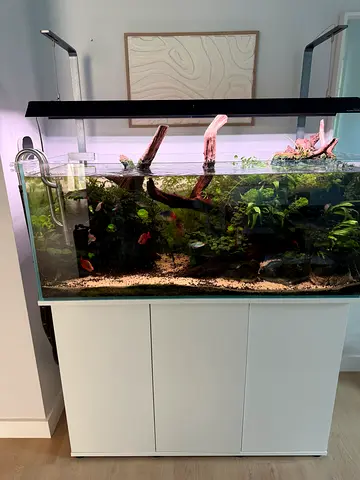 Big beautiful Aquarium!