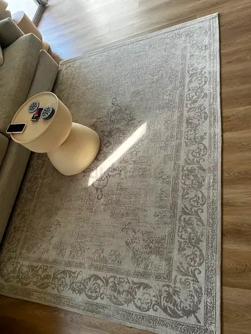 WS Living Rug