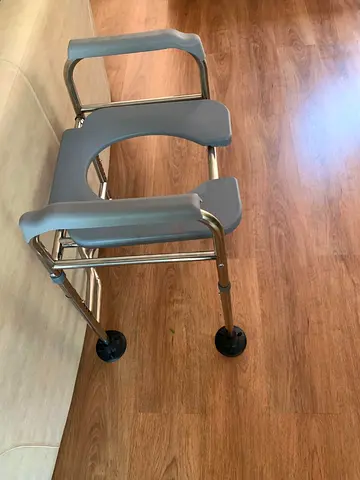 Potty Chair