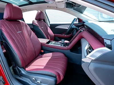 Hongqi Ousado Luxury, миниатюра 11