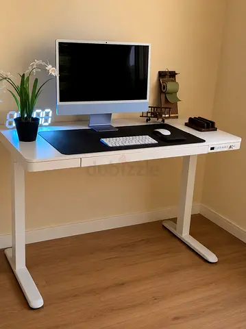White Adjustable Standing Desk — Good Condition, Minimal Use