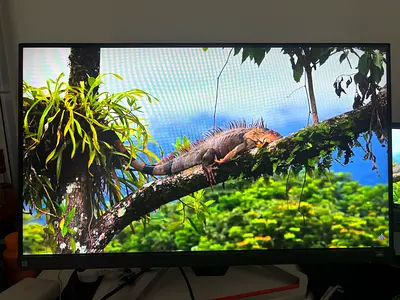BenQ MOBIUZ EX2510S 24.5 165Hz Gaming Monitor (IPS, 1ms, FreeSync Premium)