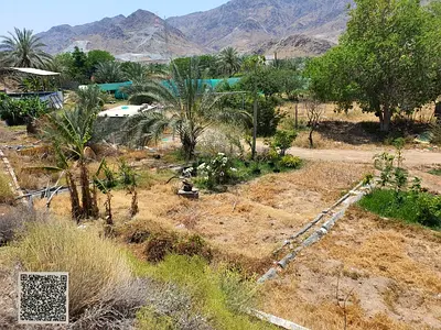 مزرعة للبيع تملك مواطنين ودول مجلس التعاون الخليجي الفجيرا