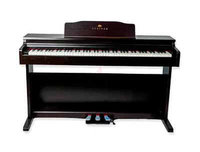 Steiner DP-250BN