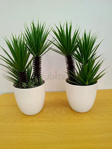 Pair of artificial Yucca Plant for Decor