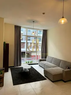 Fully furnished | Elegant | Spacious | Modern living