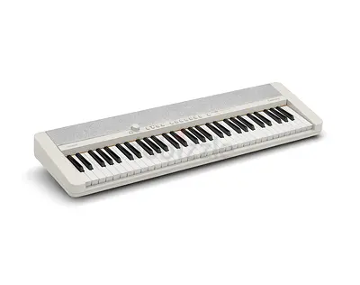 Casio portable piano keyboard