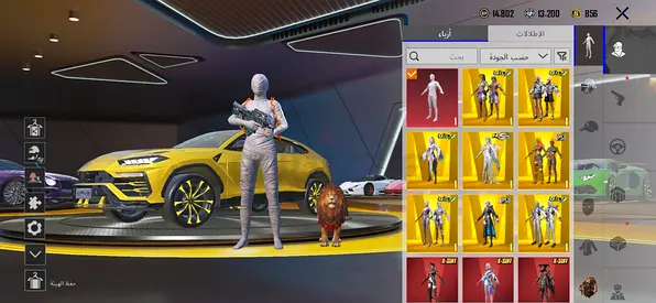 PUBG Mobile account with rare outfits, vehicle skins and pet (ready to play)