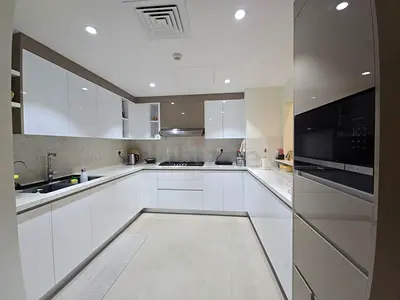 Danube Custom Kitchen for Sale — 5 Months Old | Quartz Countertop  Backsplash | Built-In Applainces