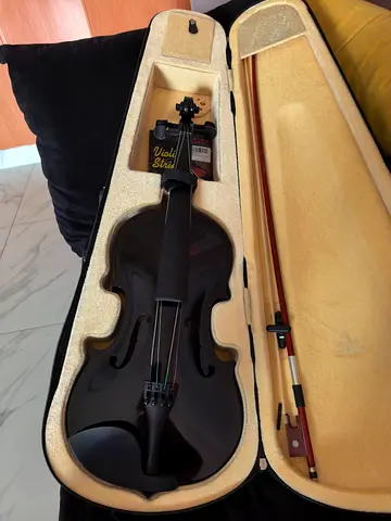 Black 4/4 Acoustic Violin with Case
