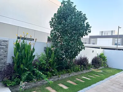 Selling all Well maintained plants and trees