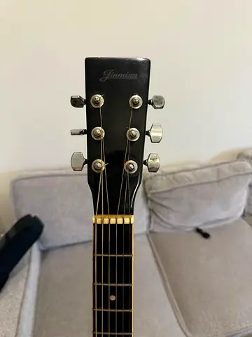 Semi acoustic guitar