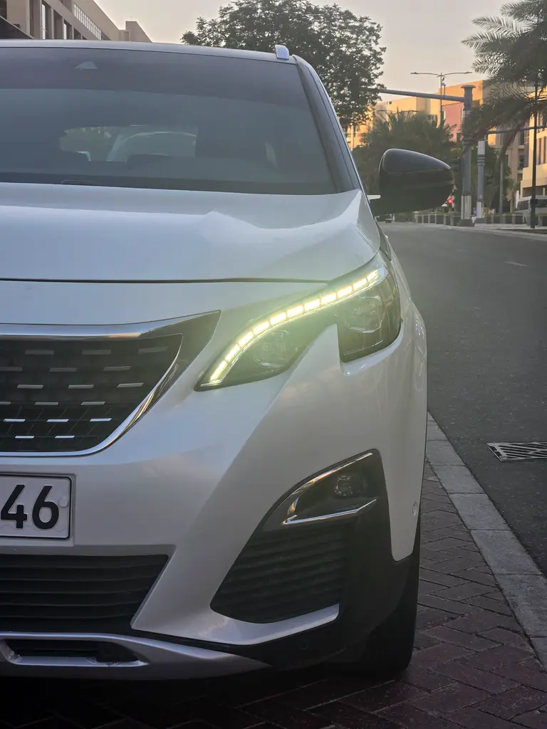 Peugeot 3008 2019 — photo 1 of 20