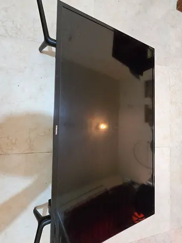 Samsung 40 inch Flat Screen TV not working has panel issues