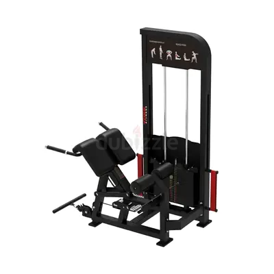 YORK Loaded Back Extension | Commercial Lower Back  Spine Strength Training - Brand New