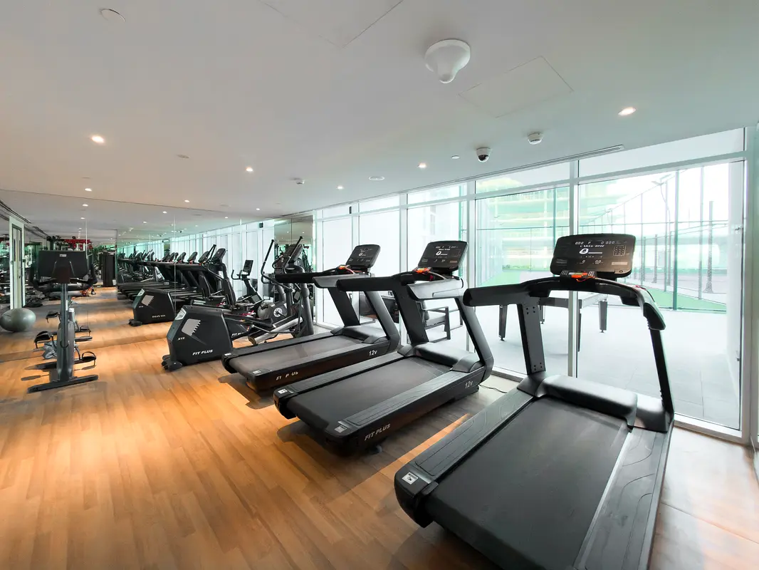 gallery-image