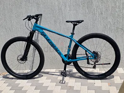 Sliverback mtb 29er large