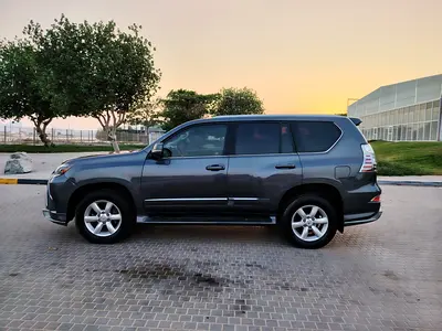 2010 Lexus GX-SERIES — фото 19