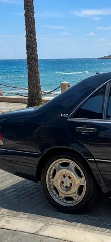 دبي القوز