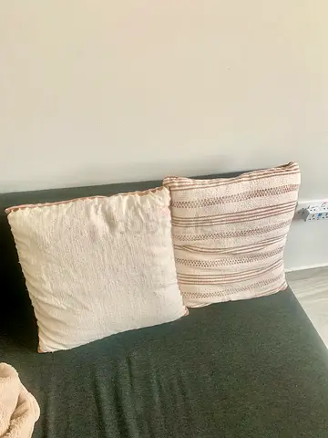 Sofa couch Pillows